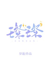 璨璨人生的电视剧剧情